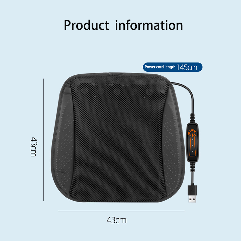 Car VentilatedSeat Chair Cover - Pe Foam Sheet 评论和价格